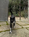 snapins-ai_3636690763112711326.jpg